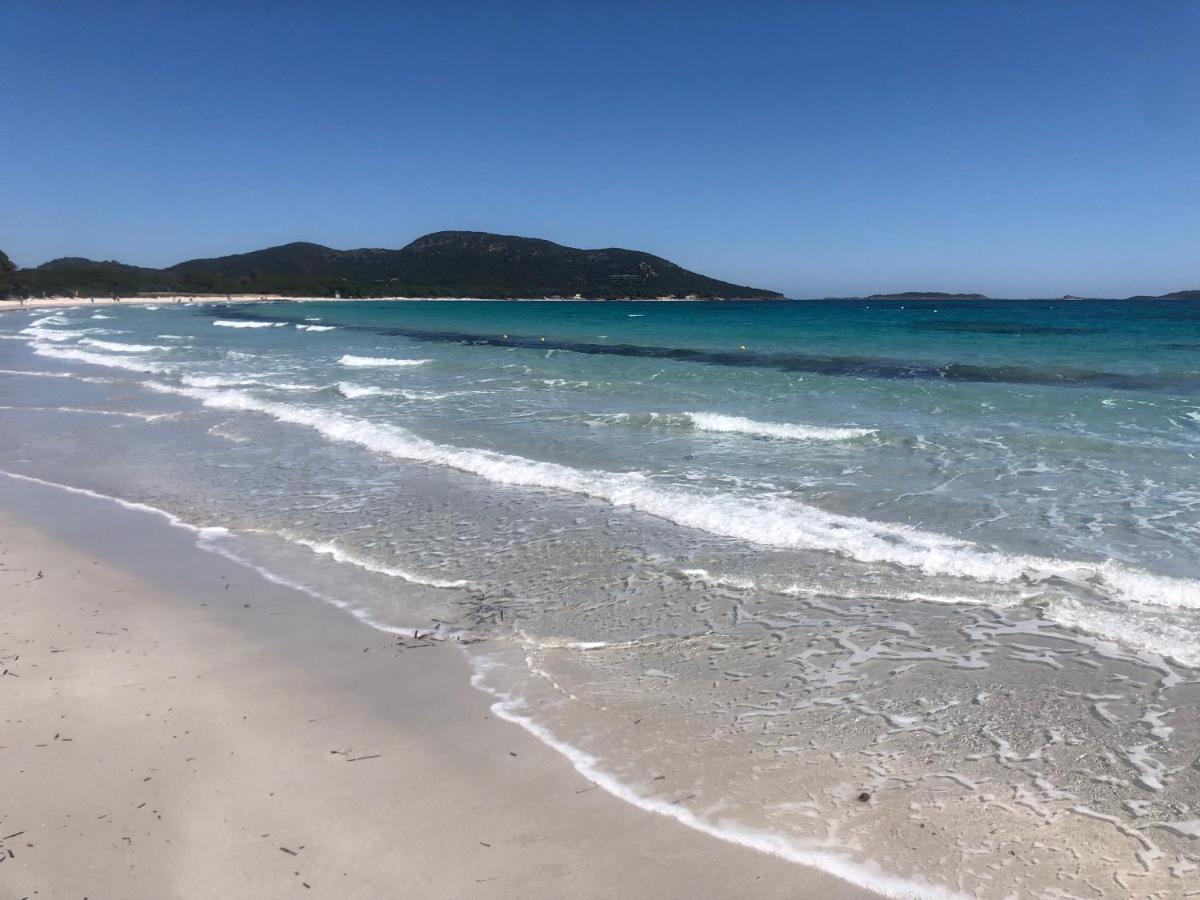 Superbe Appartement Sur Le Port, Jacuzzi, Piscine Porto-Vecchio  Luaran gambar