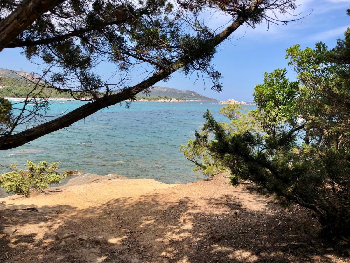 Superbe Appartement Sur Le Port, Jacuzzi, Piscine Porto-Vecchio  Luaran gambar